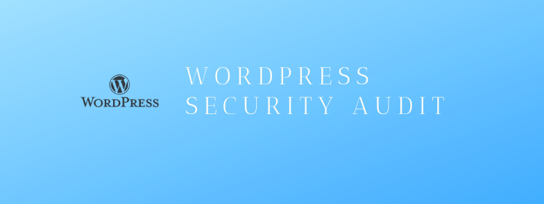 website auditor wordpress